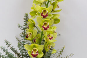 Green orchids and greenery